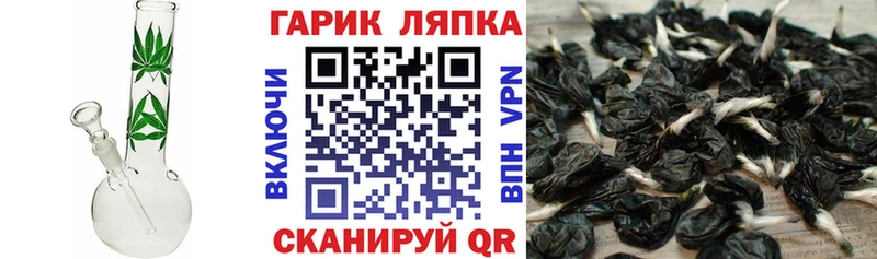 Гашиш Cannabis  наркота  Тотьма 